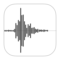 В iPhone есть приложение Voice Memos, которое вы можете использовать для записи любых голосов на iPhone